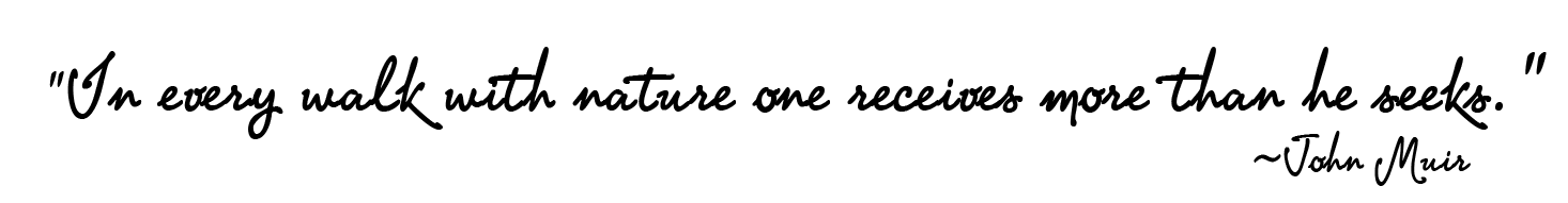 "In every walk with nature one receives more than he seeks." ~John Muir